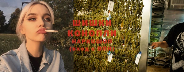 прущие грибы Осташков