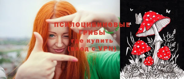 тгк Белокуриха
