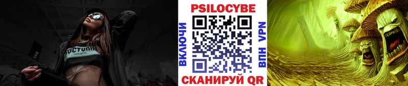 Галлюциногенные грибы Psilocybe  сколько стоит  Реутов 